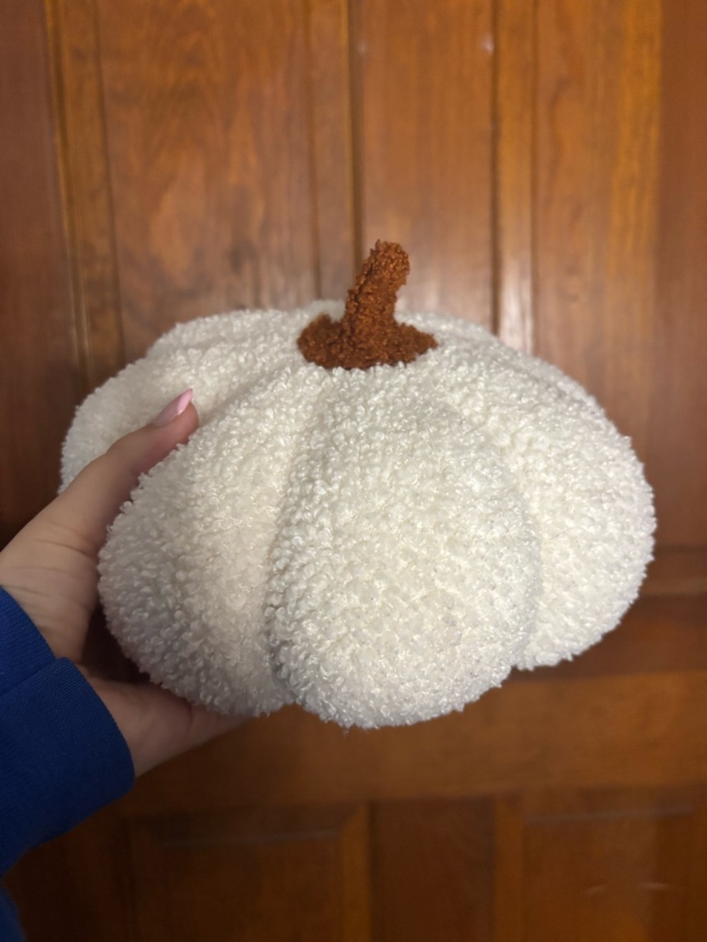 Cozy White Plush Pumpkin from Homegoods